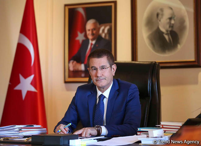 Turkey discloses number of servicemen killed during Operation Olive Branch