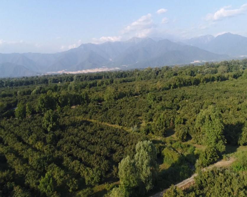 Agrarian Credit & Development Agency discloses value of subsidies for Azerbaijani farmers