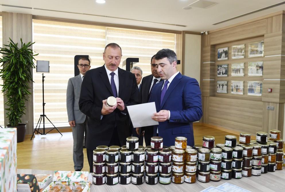 Ilham Aliyev inaugurates ABAD Center in Balakan (PHOTO)