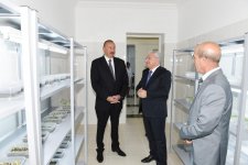 Ilham Aliyev: Azerbaijan to develop agriculture on scientific basis, achieve yield growth (PHOTO, UPDATE)