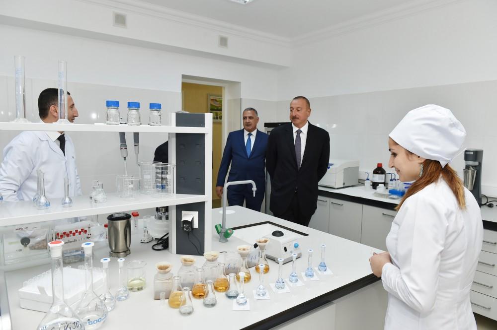 Ilham Aliyev: Azerbaijan to develop agriculture on scientific basis, achieve yield growth (PHOTO, UPDATE)