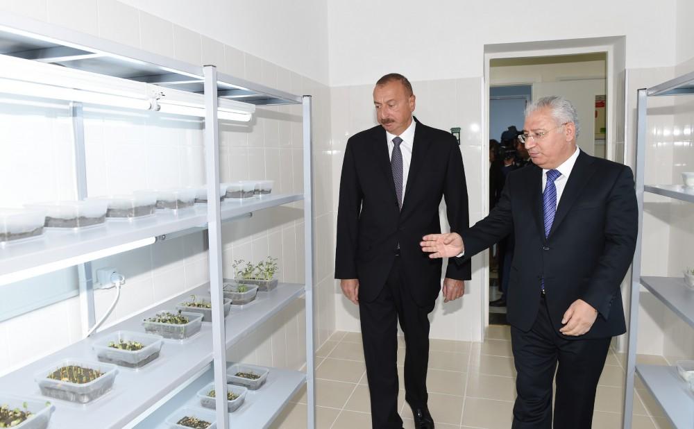 Ilham Aliyev: Azerbaijan to develop agriculture on scientific basis, achieve yield growth (PHOTO, UPDATE)