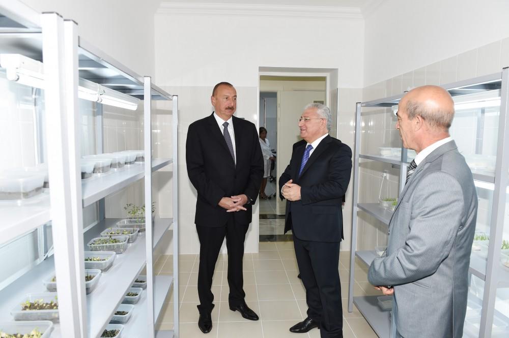 Ilham Aliyev: Azerbaijan to develop agriculture on scientific basis, achieve yield growth (PHOTO, UPDATE)