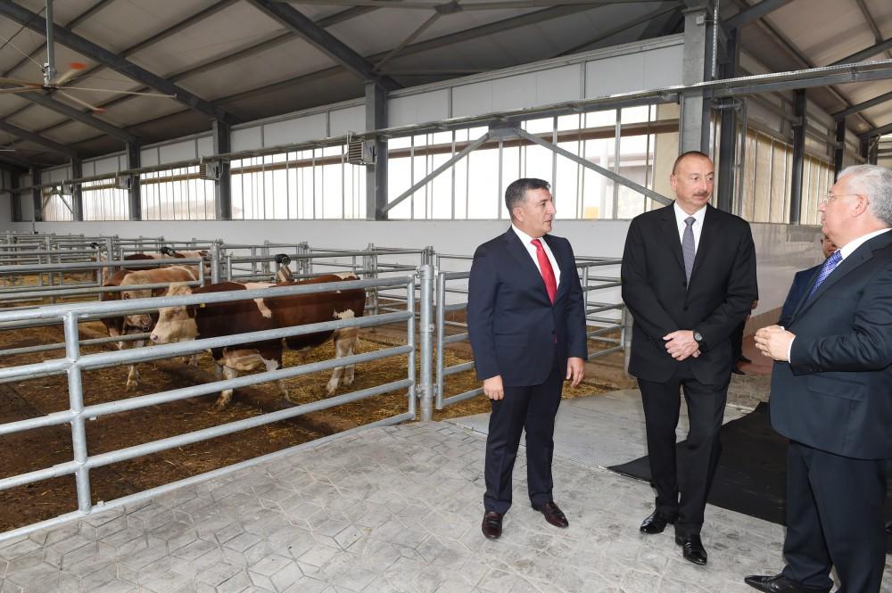 President Aliyev inaugurates Republican Artificial Insemination Center (PHOTO)