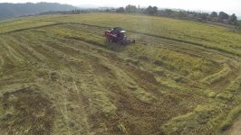 President Ilham Aliyev views rice paddies and opens rice plant in Lankaran (PHOTO)