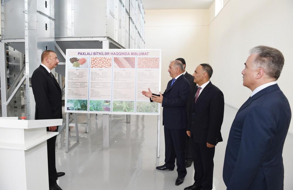 Ilham Aliyev attends opening of cereals & pulses cleaning-packing complex in Jalilabad (PHOTO)