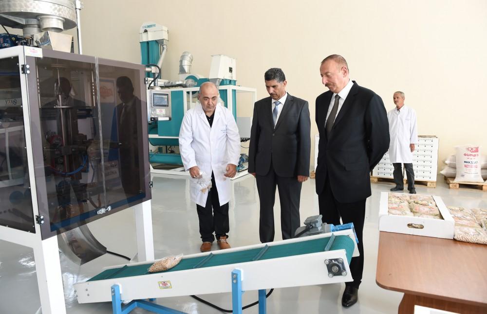 Ilham Aliyev attends opening of cereals & pulses cleaning-packing complex in Jalilabad (PHOTO)