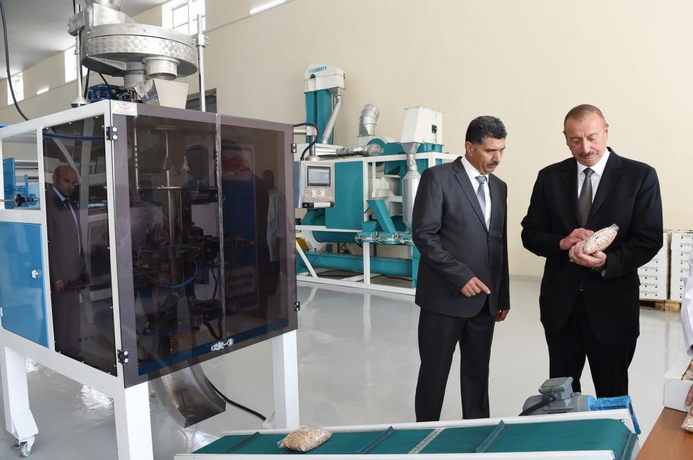 Ilham Aliyev attends opening of cereals & pulses cleaning-packing complex in Jalilabad (PHOTO)