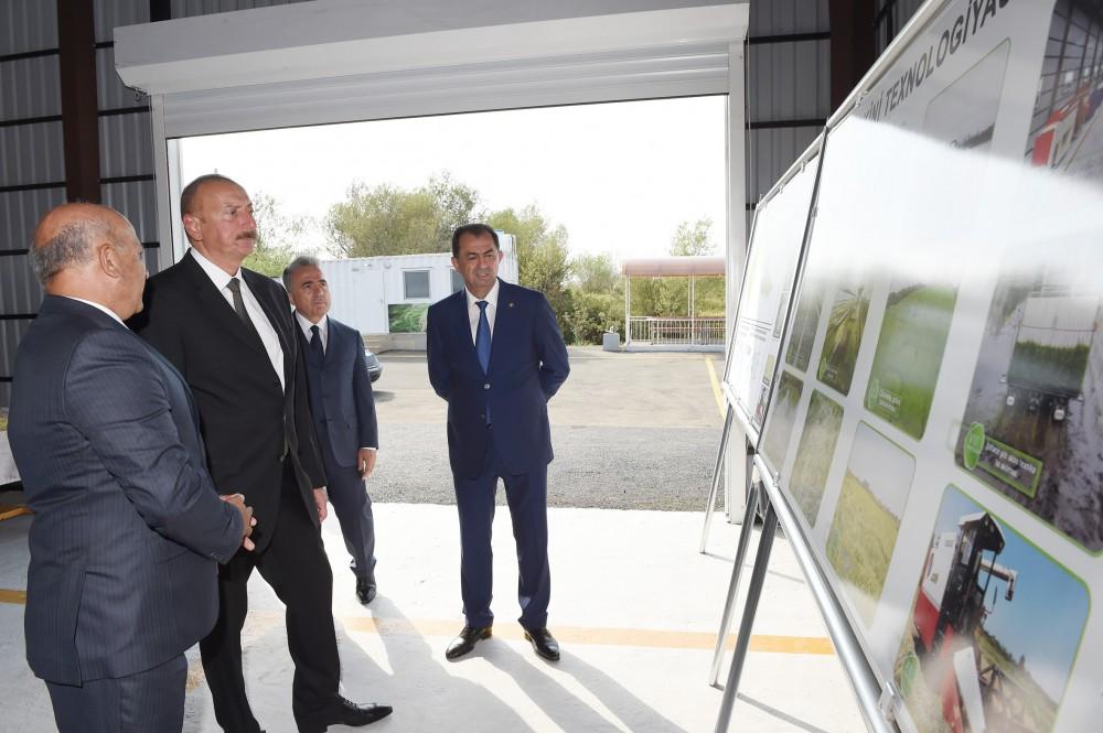 President Ilham Aliyev views rice paddies and opens rice plant in Lankaran (PHOTO)