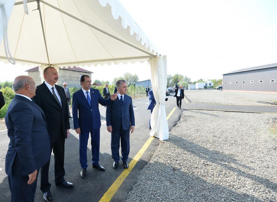 President Ilham Aliyev views rice paddies and opens rice plant in Lankaran (PHOTO)