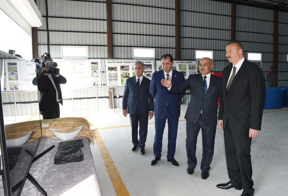 President Ilham Aliyev views rice paddies and opens rice plant in Lankaran (PHOTO)
