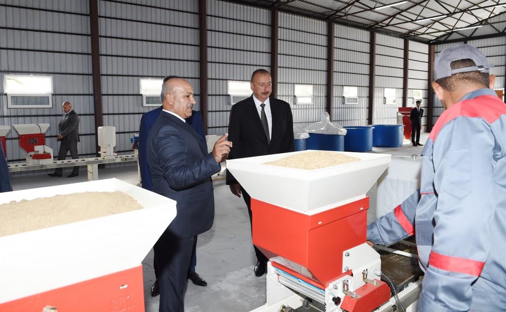 President Ilham Aliyev views rice paddies and opens rice plant in Lankaran (PHOTO)