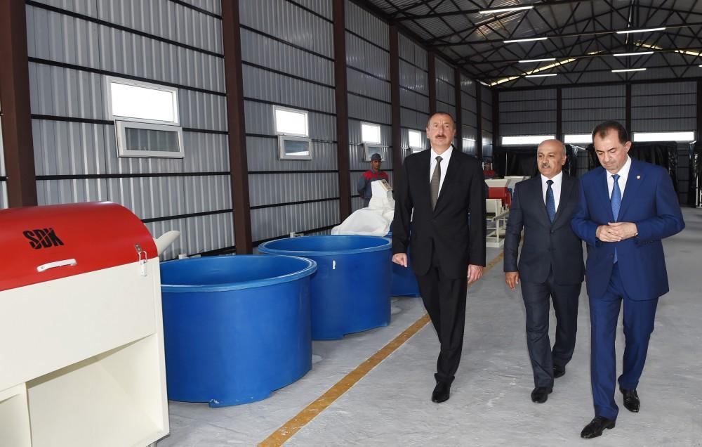 President Ilham Aliyev views rice paddies and opens rice plant in Lankaran (PHOTO)