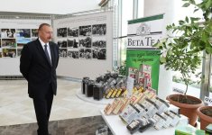 President Ilham Aliyev chairs republican conference on development of tea, rice and citrus fruits production in Lankaran (PHOTO)