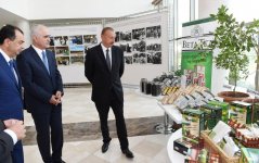 President Ilham Aliyev chairs republican conference on development of tea, rice and citrus fruits production in Lankaran (PHOTO)