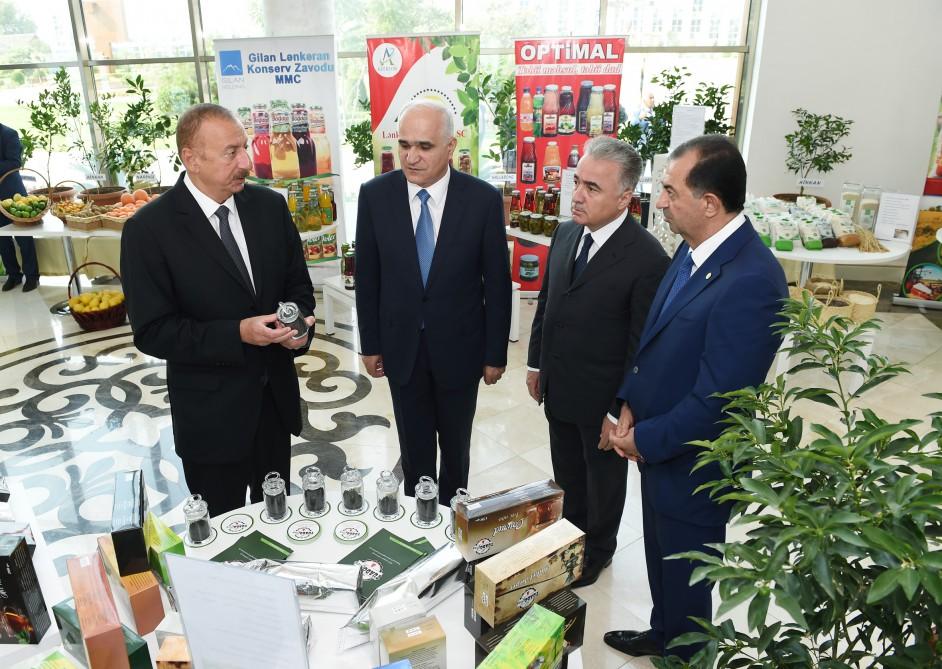 President Ilham Aliyev chairs republican conference on development of tea, rice and citrus fruits production in Lankaran (PHOTO)