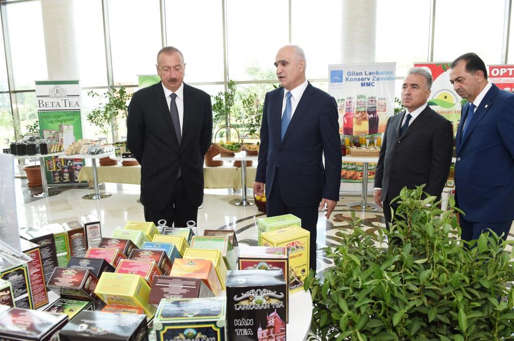 President Ilham Aliyev chairs republican conference on development of tea, rice and citrus fruits production in Lankaran (PHOTO)