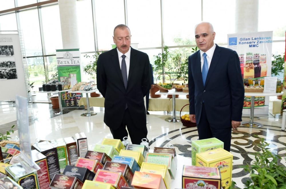 President Ilham Aliyev chairs republican conference on development of tea, rice and citrus fruits production in Lankaran (PHOTO)