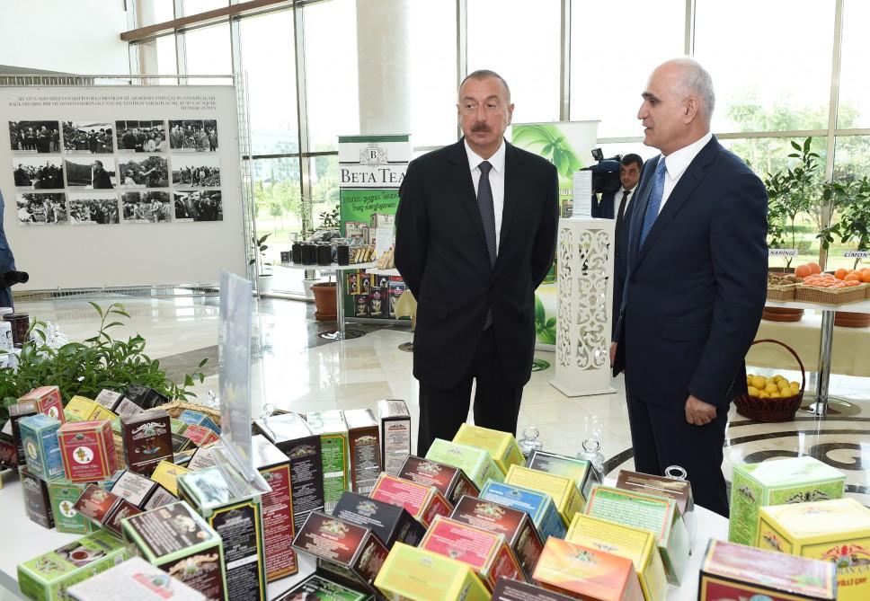 President Ilham Aliyev chairs republican conference on development of tea, rice and citrus fruits production in Lankaran (PHOTO)