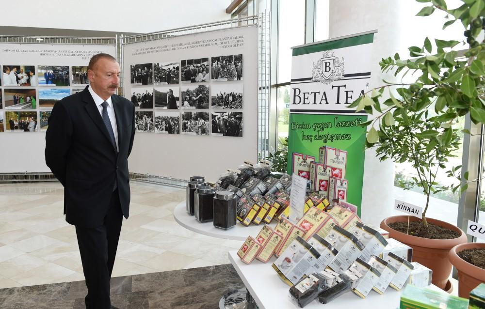 President Ilham Aliyev chairs republican conference on development of tea, rice and citrus fruits production in Lankaran (PHOTO)