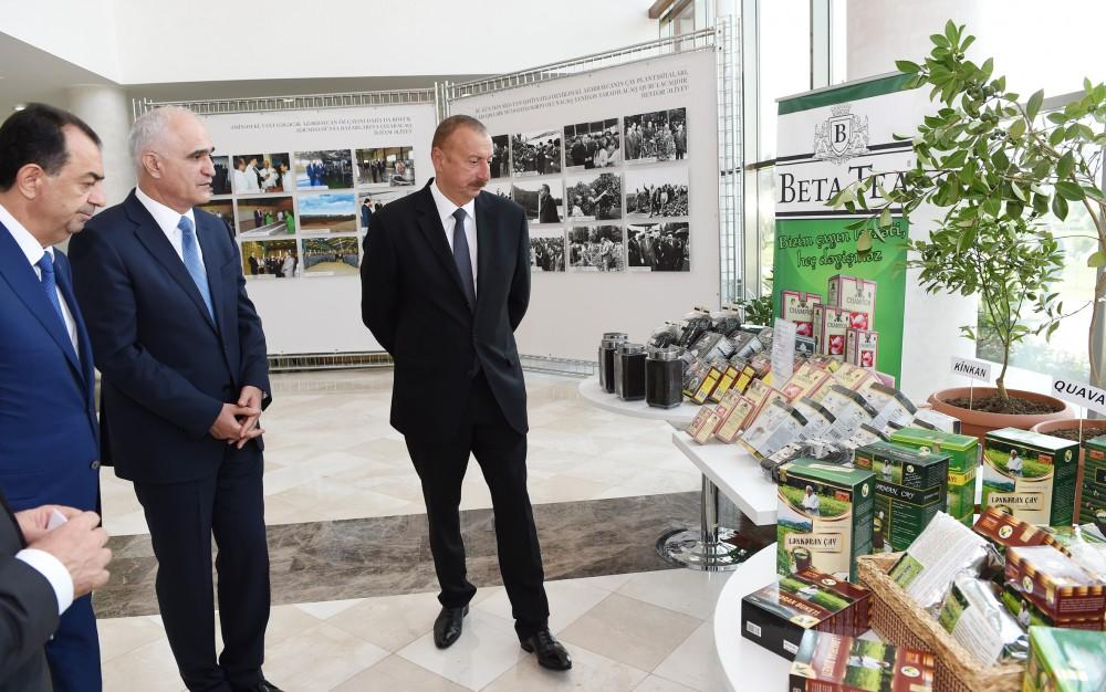 President Ilham Aliyev chairs republican conference on development of tea, rice and citrus fruits production in Lankaran (PHOTO)