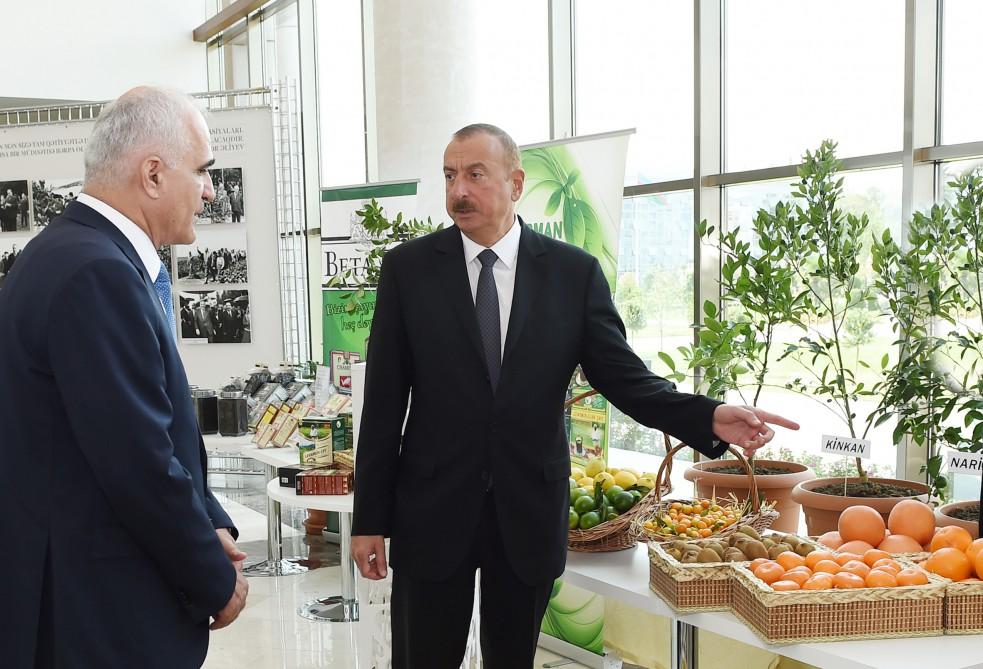 President Ilham Aliyev chairs republican conference on development of tea, rice and citrus fruits production in Lankaran (PHOTO)