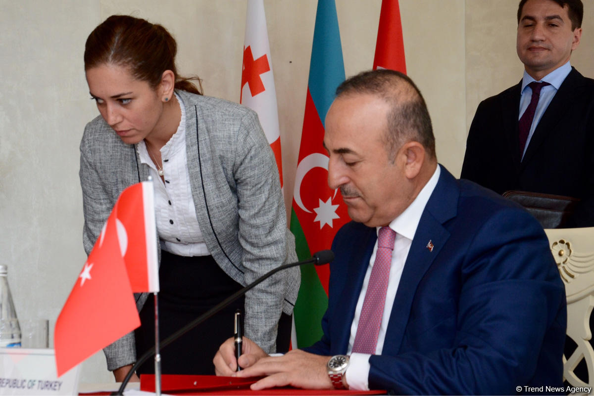 FM: Azerbaijani, Turkish, Georgian presidents’ summit under preparation (PHOTO)