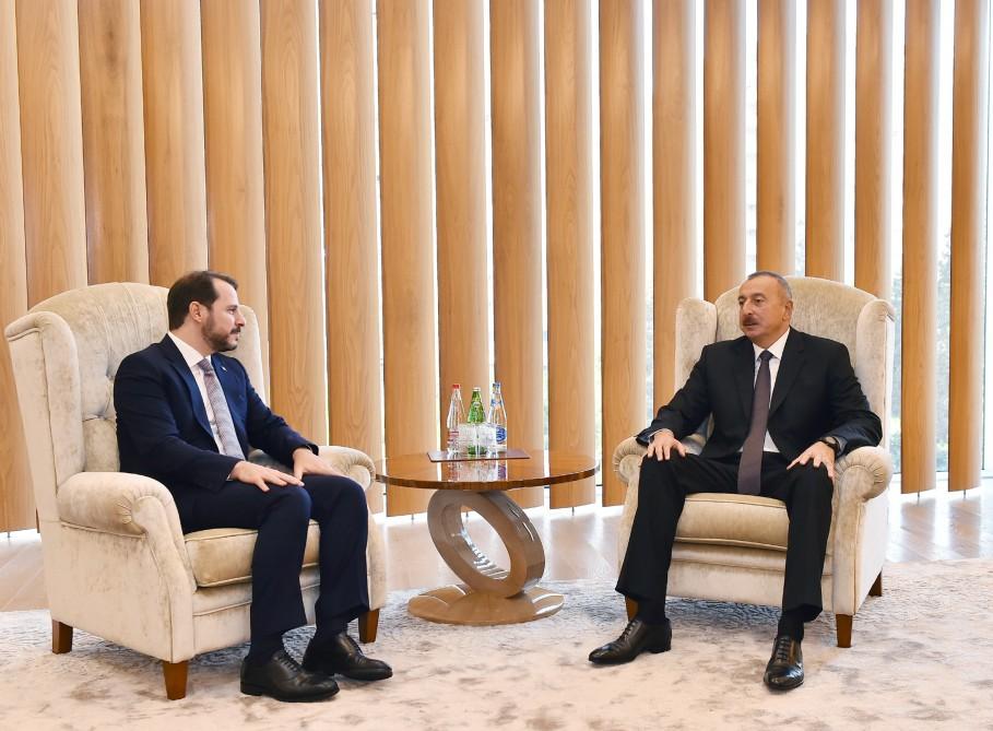 Azerbaijani president meets Turkish minister of energy, natural resources
