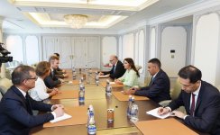 First VP Mehriban Aliyeva meets French minister of state