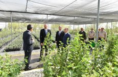 President Ilham Aliyev visits seawater desalination complex in Salyan (PHOTO)