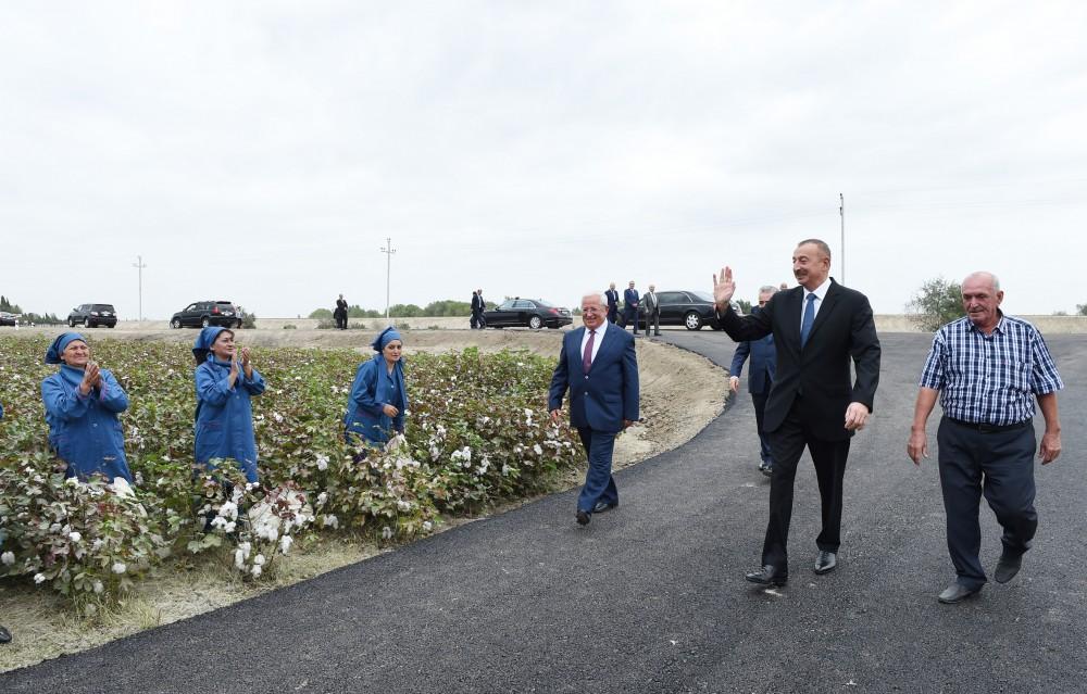 President Aliyev visits cotton plantation in Neftchala district