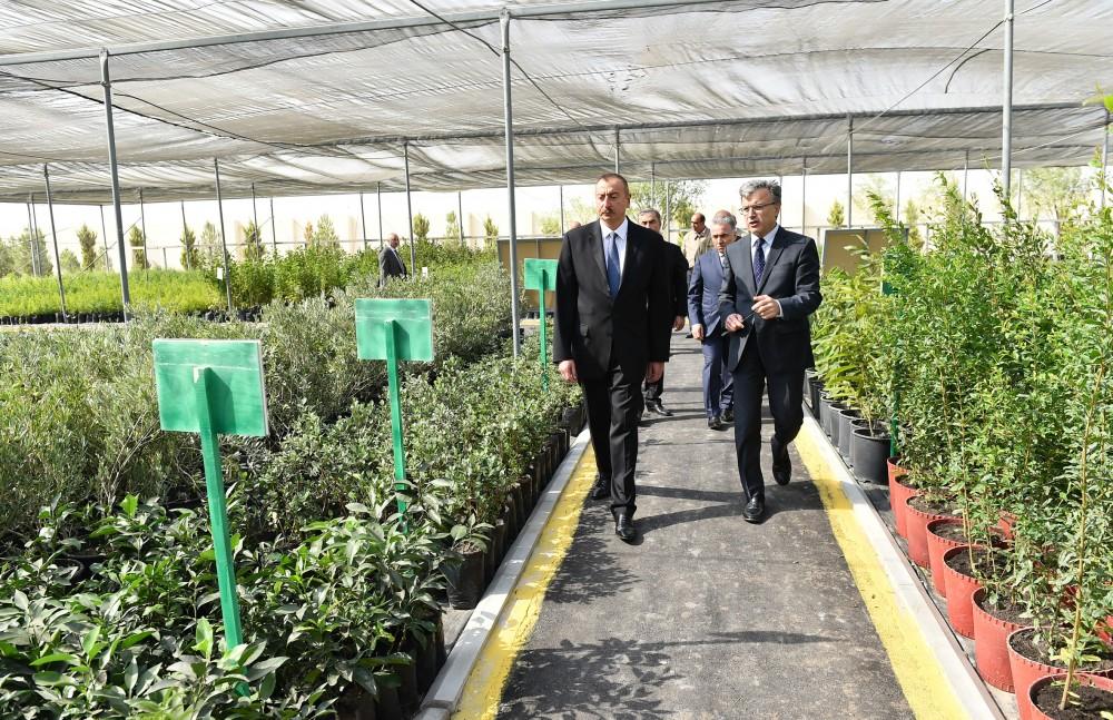 President Ilham Aliyev visits seawater desalination complex in Salyan (PHOTO)