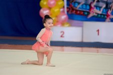 Baku hosts open championship in rhythmic gymnastics (PHOTO)