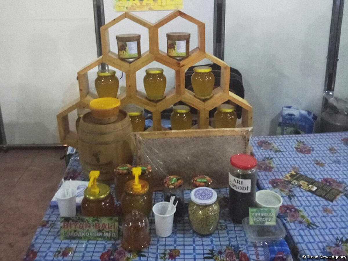 Number of honey fair participants in Baku grows (PHOTO)