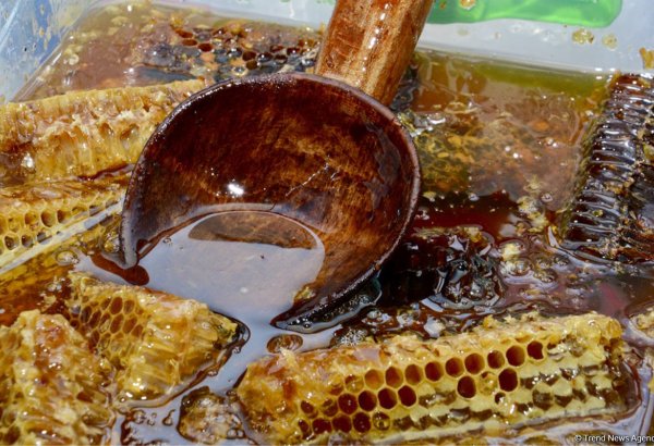 Azerbaijan steps up nationwide honey production in 2024