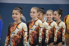 Rhythmic & aerobic gymnasts continue performances in Baku (PHOTO)