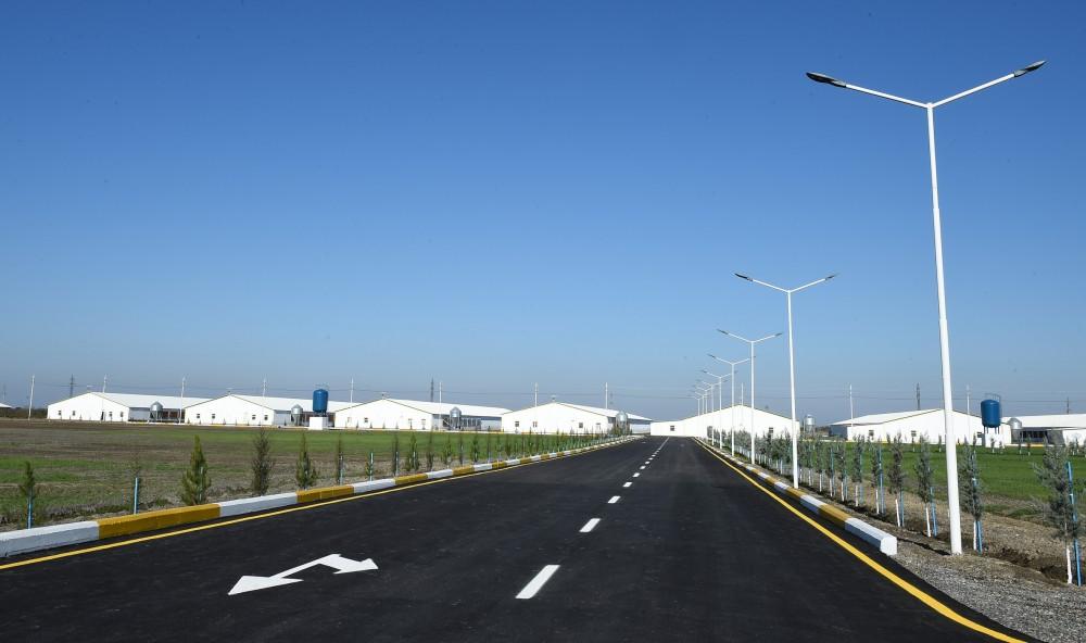 Ilham Aliyev visits poultry farm in Sabirabad district (PHOTO)