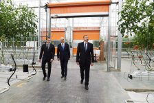 President Aliyev views work carried out in "Baku Agropark" in Zira settlement (PHOTO)