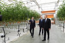 President Aliyev views work carried out in "Baku Agropark" in Zira settlement (PHOTO)
