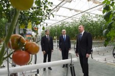 President Aliyev views work carried out in "Baku Agropark" in Zira settlement (PHOTO)