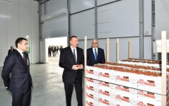 President Aliyev views work carried out in "Baku Agropark" in Zira settlement (PHOTO)