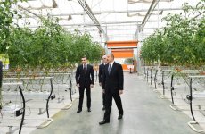 President Aliyev views work carried out in "Baku Agropark" in Zira settlement (PHOTO)