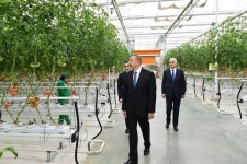 President Aliyev views work carried out in "Baku Agropark" in Zira settlement (PHOTO)