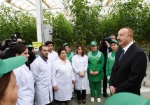 President Aliyev views work carried out in "Baku Agropark" in Zira settlement (PHOTO)