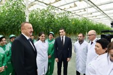 President Aliyev views work carried out in "Baku Agropark" in Zira settlement (PHOTO)
