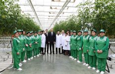 President Aliyev views work carried out in "Baku Agropark" in Zira settlement (PHOTO)