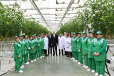 President Aliyev views work carried out in "Baku Agropark" in Zira settlement (PHOTO)