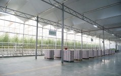President Aliyev views work carried out in "Baku Agropark" in Zira settlement (PHOTO)