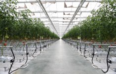 President Aliyev views work carried out in "Baku Agropark" in Zira settlement (PHOTO)