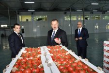 President Aliyev views work carried out in "Baku Agropark" in Zira settlement (PHOTO)